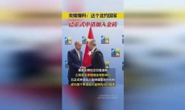 美国税局最新爆料信息,揭秘巨额逃税案件及税务改革动向